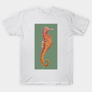 Seahorse (Dark Kaki Green) T-Shirt